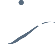 light logo